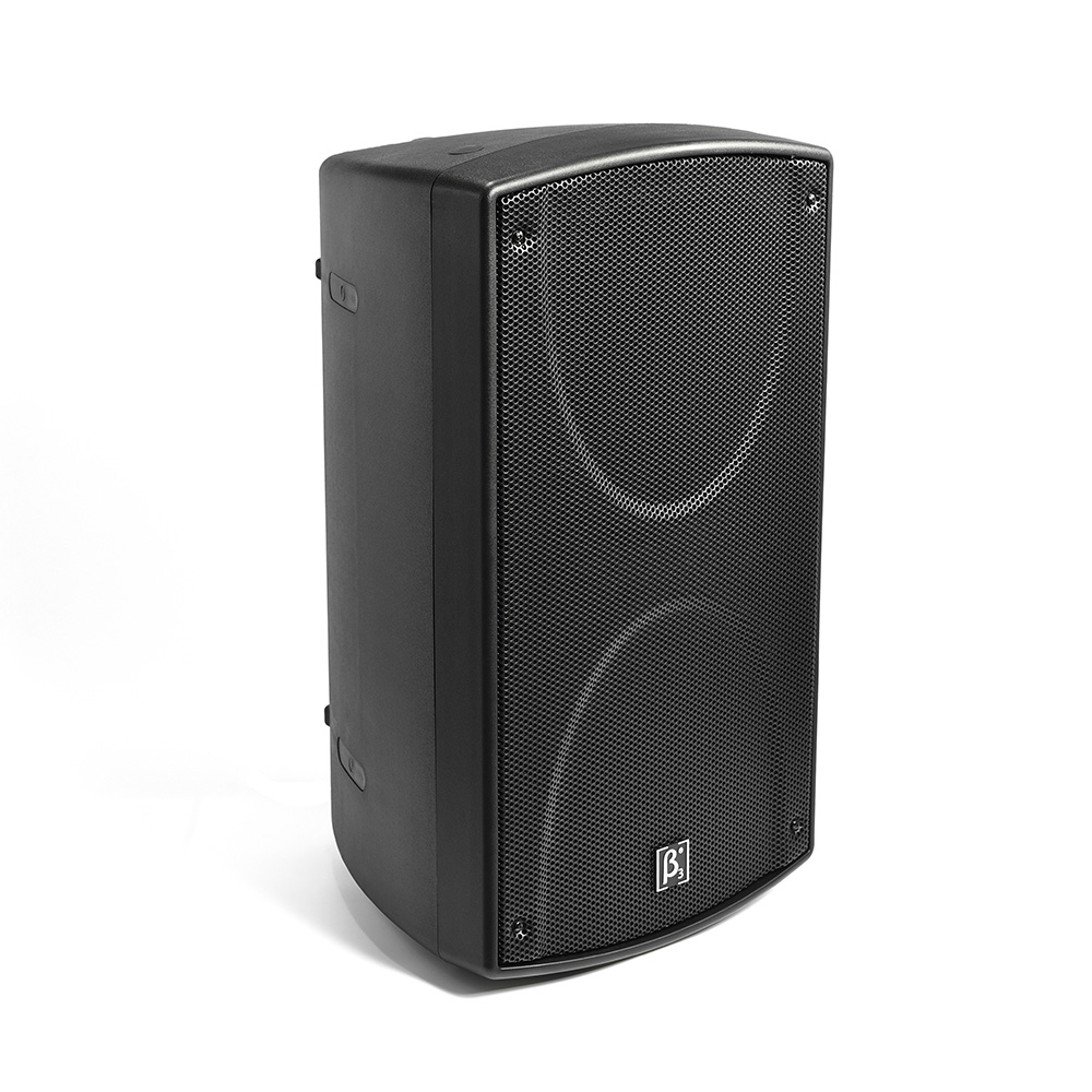 S1200N 12" Two Way Full Range Speaker
