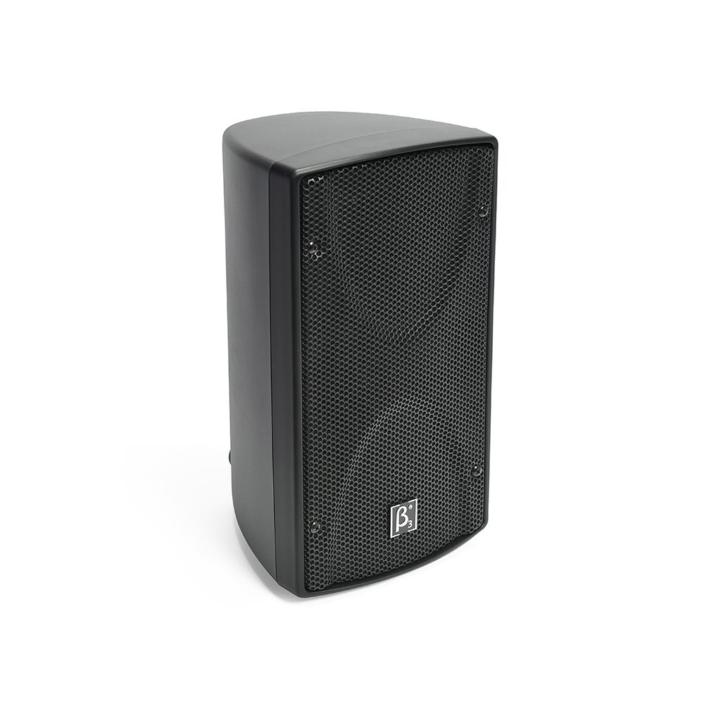 S800N 8" Two Way Full Range Speaker