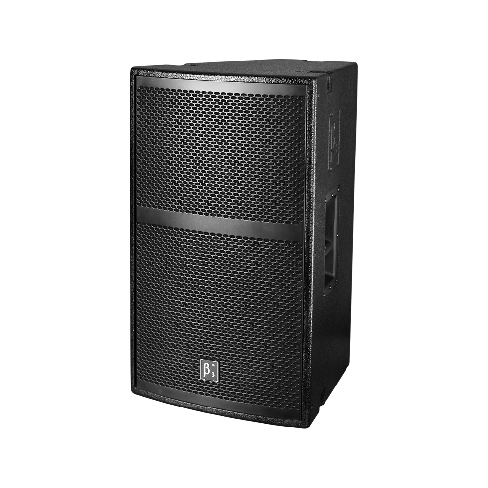 X12i 12" Two-Way Full Range Speaker